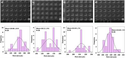 Fabrication of ethosuximide loaded alginate/polyethylene oxide scaffolds for epilepsy research using 3D-printing method